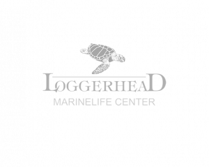 Loggerhead Marinelife Center