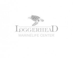 Loggerhead Marinelife Center